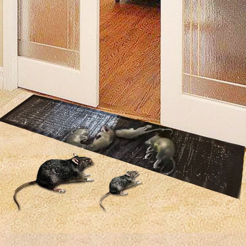 Glue Traps for Mice, Rats & Crawling Insects, 10-Pack Large Sticky Pest Traps, Non-Toxic, Indoor Outdoor Garage Basement | Lonoma