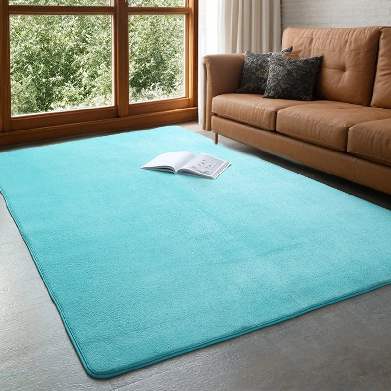 Plush Coral Velvet Area Rug Soft Non-Slip Floor Mat for Living Room Bedroom Kids Play Space Large Rectangle Home Rug | Lonoma