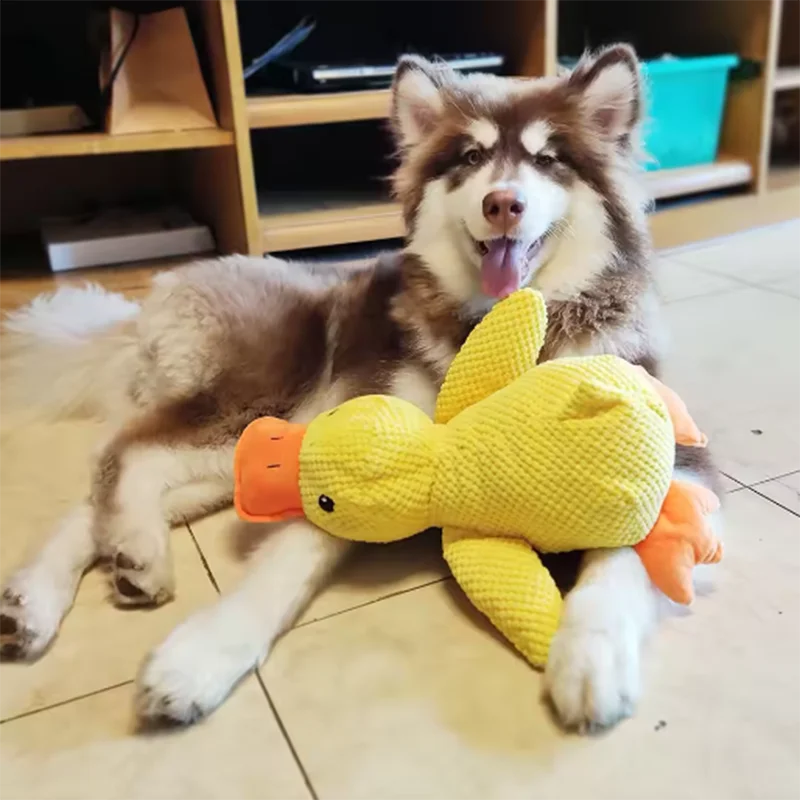 Squeaky Duck Plush Dog Toy for Interactive Play and Boredom Relief | Soft Stuffed Animal Chew Toy for Puppies and Small Dogs | Lonoma