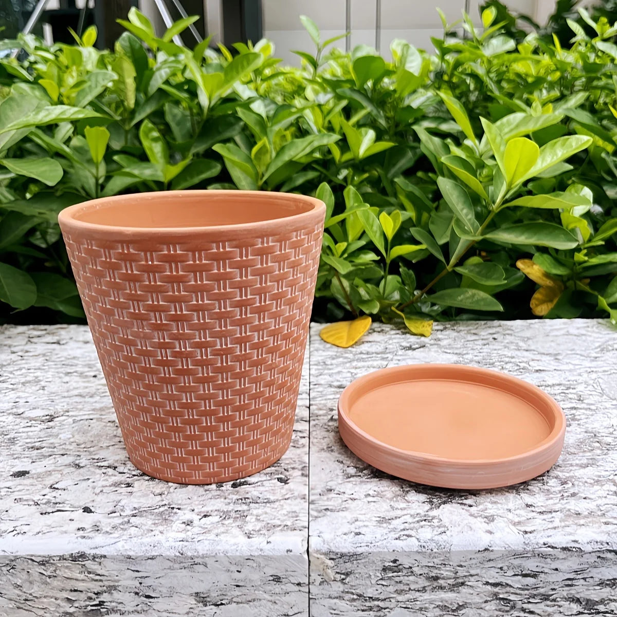 Terracotta Planter Pots with Drainage Saucers Set of 2, 5-Inch Clay Pots for Succulents Herbs Indoor Outdoor Garden | Lonoma