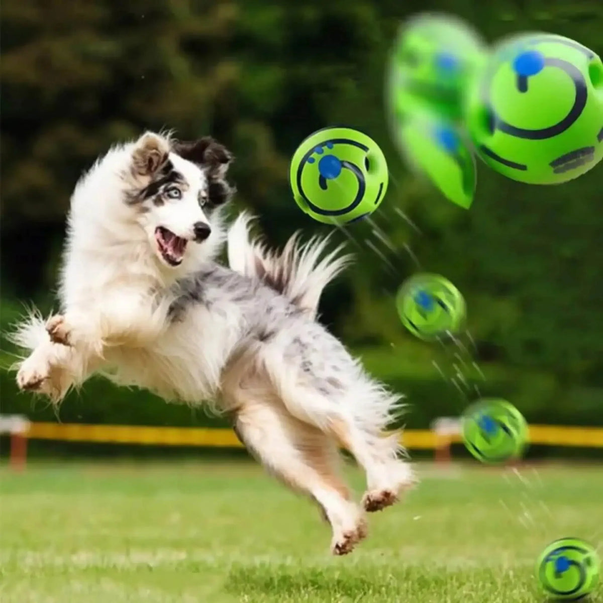 Interactive Giggle Ball Dog Toy – Laughing Sound Ball for Mental Stimulation & Play – Durable Vinyl Ball for Dogs of All Sizes | Lonoma