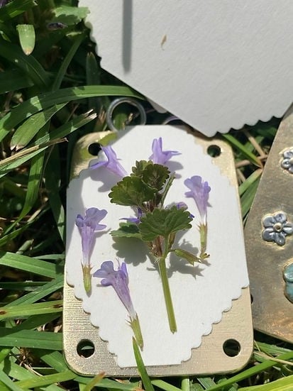 Compact Botanical Flower Press Kit for Crafts, Scrapbooking & Nature Lovers - Portable Metal Plant Presser with Blotting Papers | Lonoma