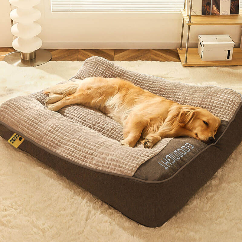 Orthopedic Dog Bed with Raised Bolster Pillow, Washable Velour Cover for Joint Relief, Large Breed Senior Dogs Sleeping Cushion | Lonoma