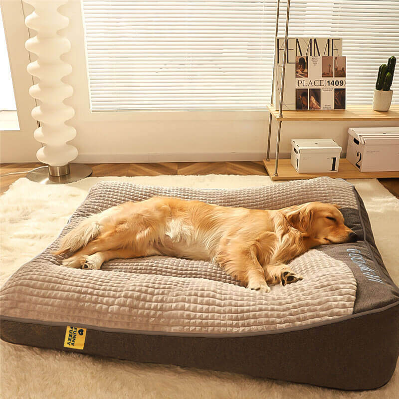 Orthopedic Dog Bed with Raised Bolster Pillow, Washable Velour Cover for Joint Relief, Large Breed Senior Dogs Sleeping Cushion | Lonoma