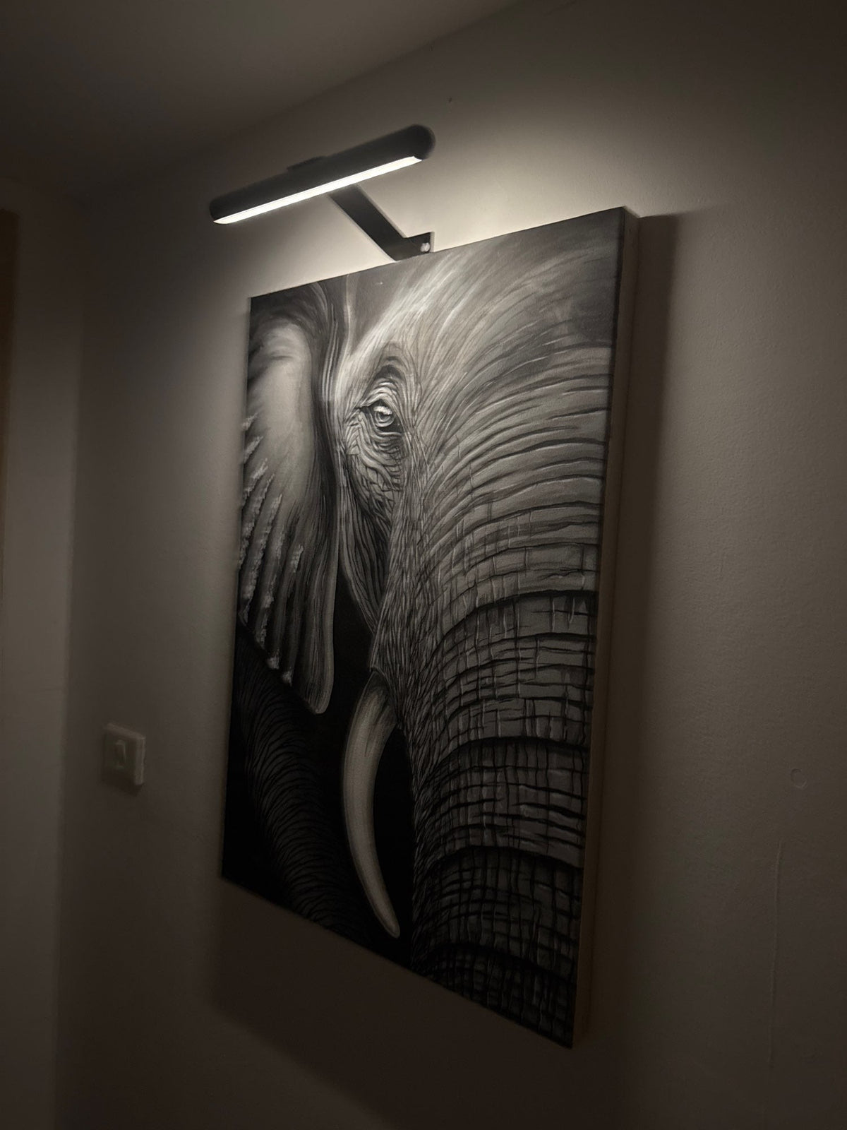 Rechargeable LED Picture Light, Cordless Wall Sconce with 360° Swivel Head, USB Battery Operated Art Lamp for Paintings & Photos | Lonoma
