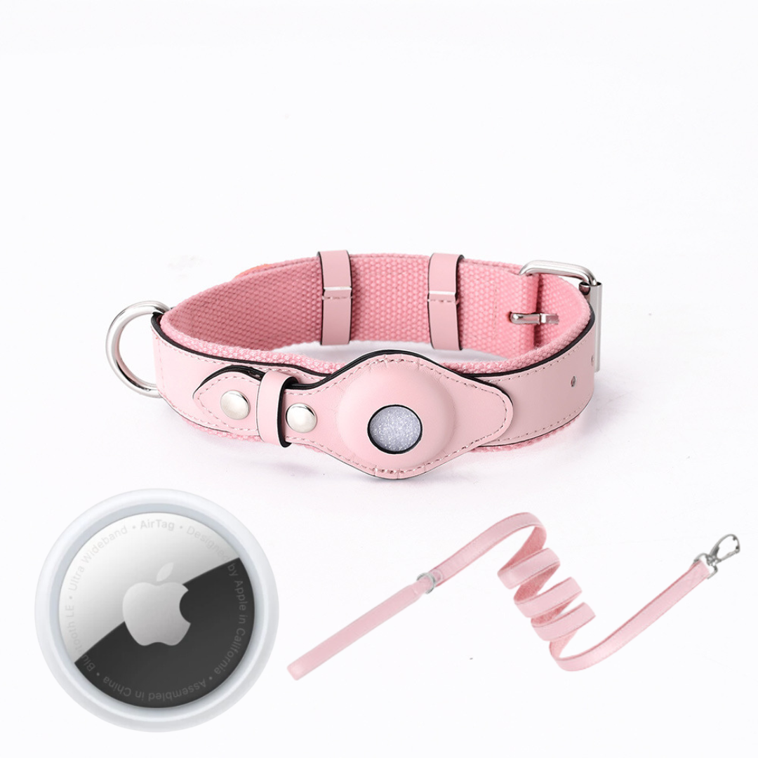 Dog GPS Collar Tracker No Subscription Real-Time Location Finder for Dogs Small Medium Large Outdoor Hiking Walking Training Pet Safety | Lonoma