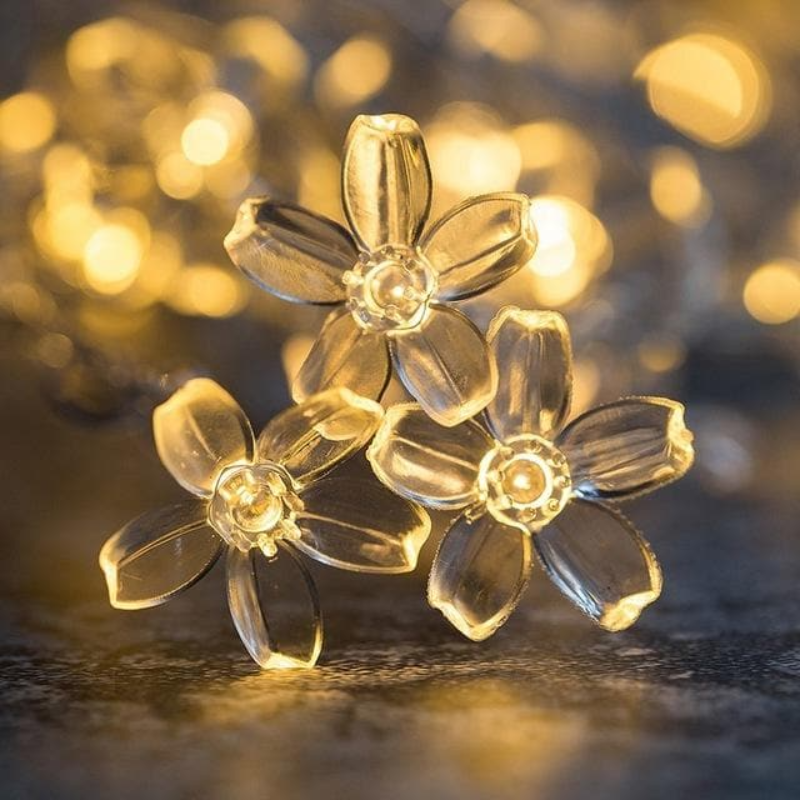 Fairy String Lights LED Battery or Plug-In, Warm White Star, Flower, Ball Decorative Lights for Bedroom, Patio, Party & Holiday Decor | Lonoma