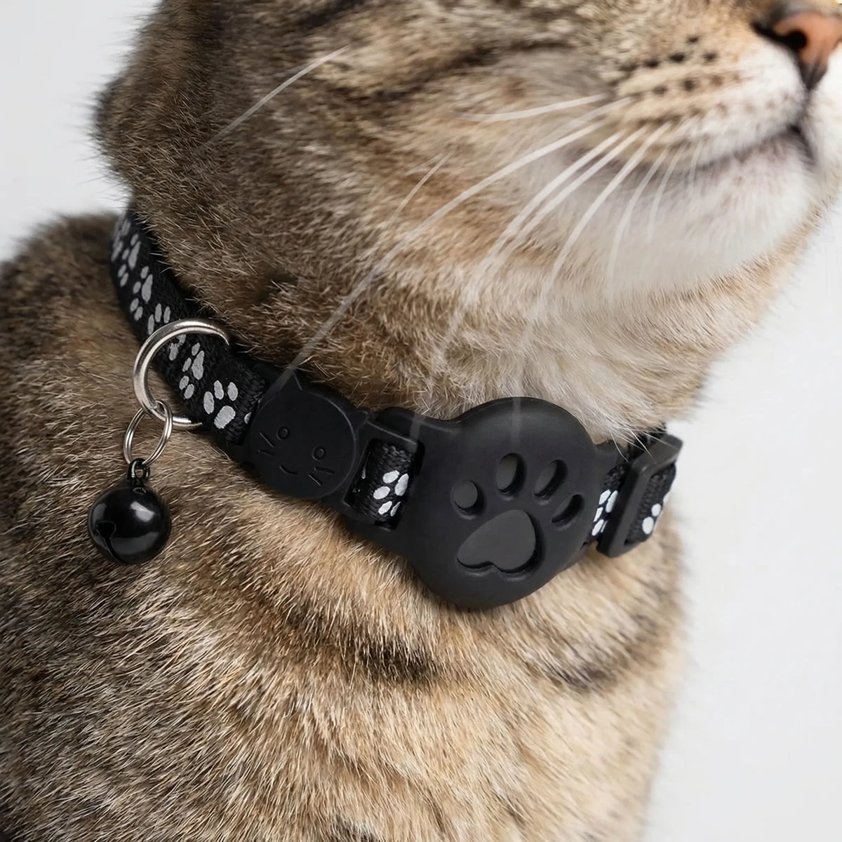 Cat Collar with Adjustable Safety Buckle Reflective Paw Print Design Waterproof Silicone for Cats & Small Dogs 4 Colors | Lonoma