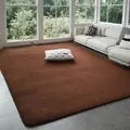 Plush Coral Velvet Area Rug Soft Non-Slip Floor Mat for Living Room Bedroom Kids Play Space Large Rectangle Home Rug | Lonoma