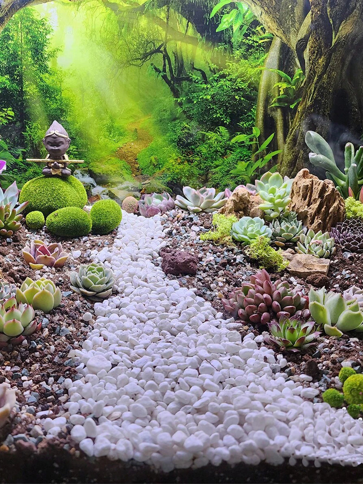 Natural White Stone Gravel for Garden Landscaping, Indoor Plants, Vase Filler | Small Polished Rocks for Succulents, Terrariums & Fairy | Lonoma