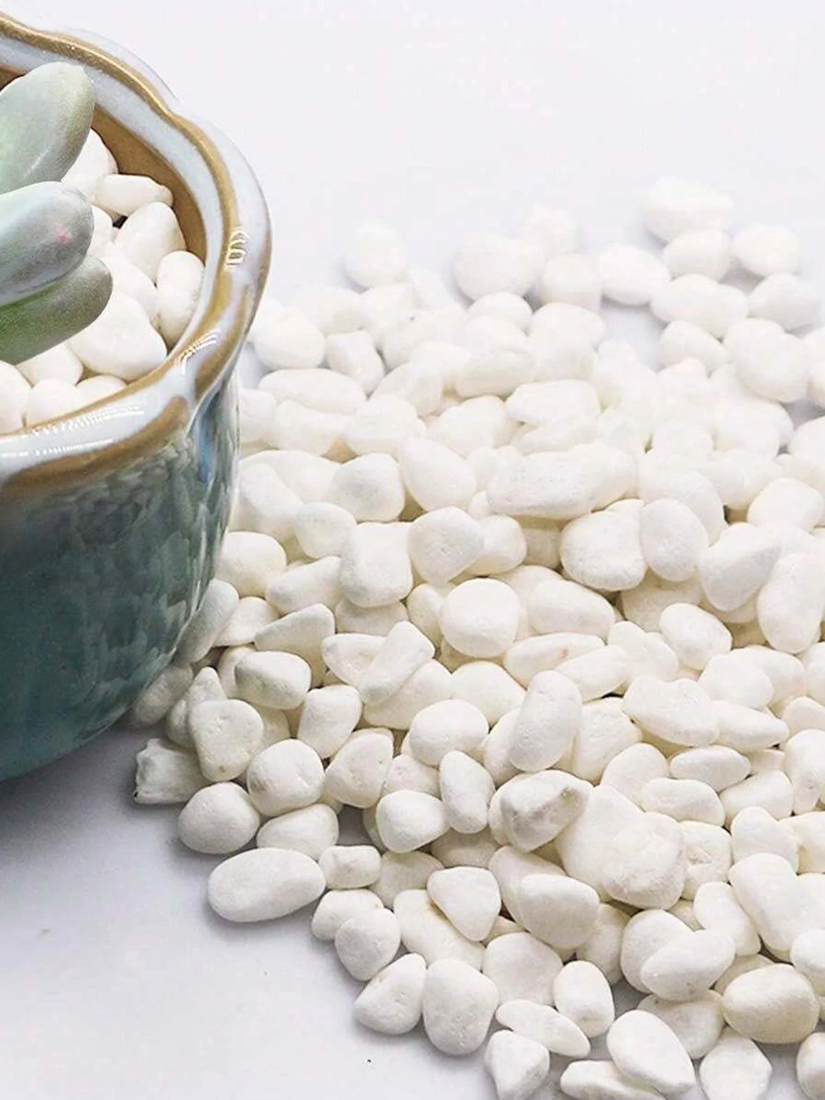 Natural White Stone Gravel for Garden Landscaping, Indoor Plants, Vase Filler | Small Polished Rocks for Succulents, Terrariums & Fairy | Lonoma
