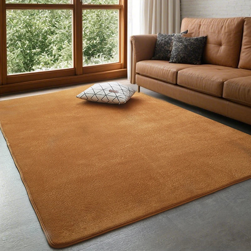 Plush Coral Velvet Area Rug Soft Non-Slip Floor Mat for Living Room Bedroom Kids Play Space Large Rectangle Home Rug | Lonoma