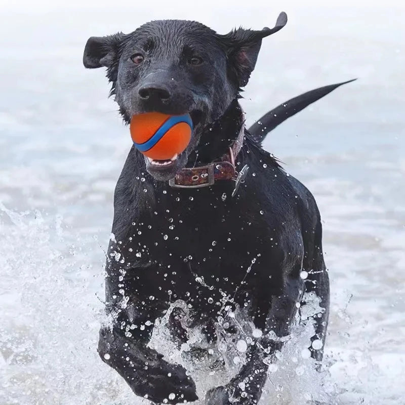 Bouncy Rubber Dog Ball for Fetch, Chew & Play – Durable Solid Ball for Puppies, Small, Medium & Large Dogs | Lonoma