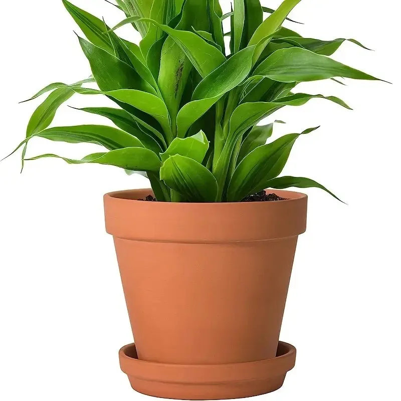Clay Planter Pots with Drainage & Saucers 4 Inch – Terracotta Flower Pots for Succulents, Herbs & Small Plants Indoor Outdoor | Lonoma
