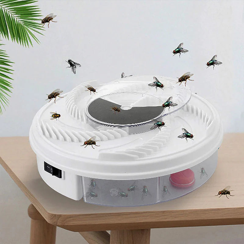 USB Fly Trap Indoor, Quiet UV Light Insect Catcher, Chemical-Free Flying Insect Trap for Kitchen, Bedroom, Living Room & Office | Lonoma