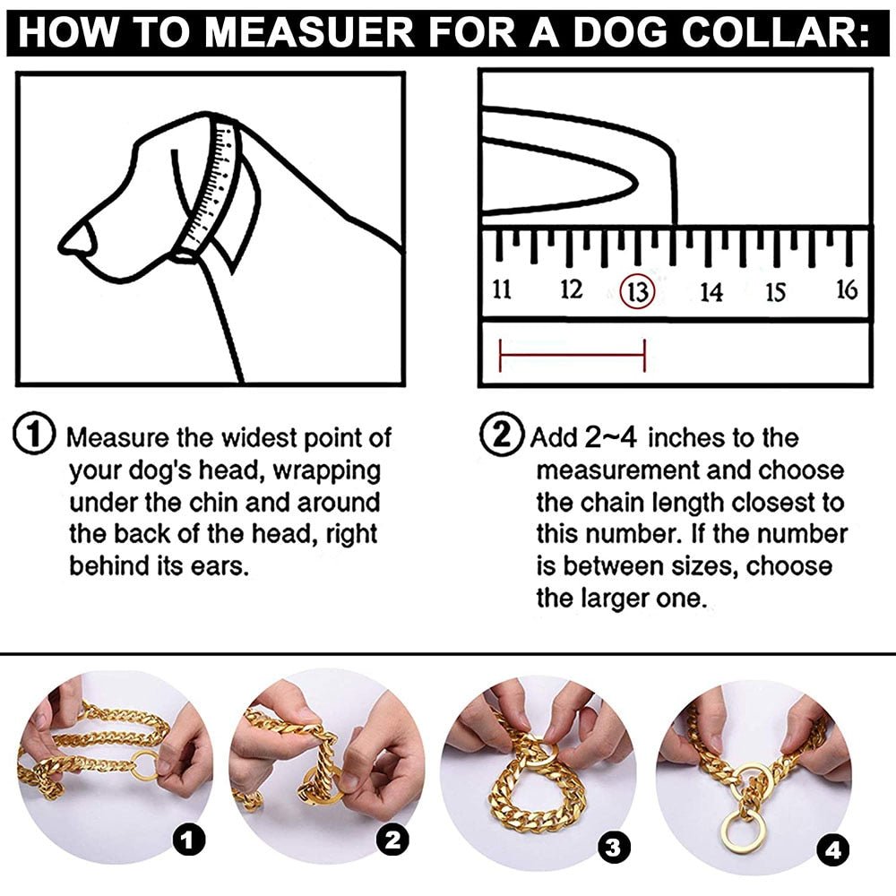 Metal Link Training Collar for Dogs All Sizes Strong Chain Leash Attachment Control Walking Obedience Small Medium Large Breeds | Lonoma
